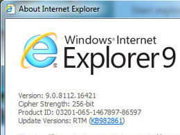 Internet Explorer 9