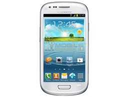 Samsung Galaxy S 3 Mini